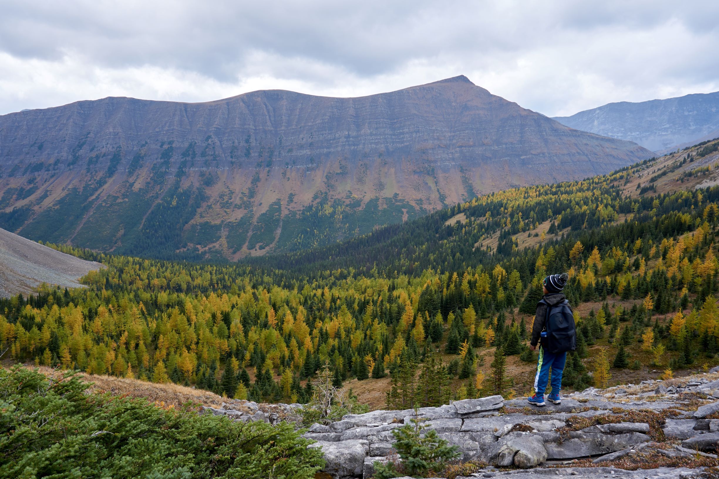 Arethusa Cirque: Fall Hiking the Golden Larches