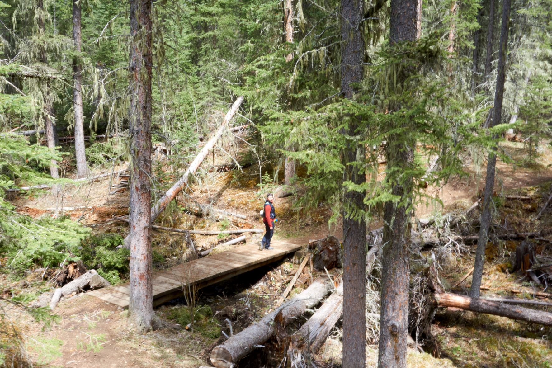 Hiking Jumpingpound Trail Near Calgary